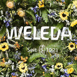 WELEDA Organic Baby Calendula Care Cream Body & Face 75ml - Crema viso / crema per la pelle per cosmetici naturali con olio di sesamo e lanolina per la cura della pelle secca. Crema idratante per neonati e bambini Bambini - Bagno e cura della pelle Naty Shop