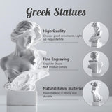 XMGZQ Statua Scultura Bianca di Afrodite, Statua Busto della Mitologia Greca in Resina, per la Decorazione della Stanza della Coquette, Decorazione della Stanza dell'Accademia Oscura, Scaffali per libri, Divisorio, Centrotavola per tavolini Statue e Sculture Naty Shop